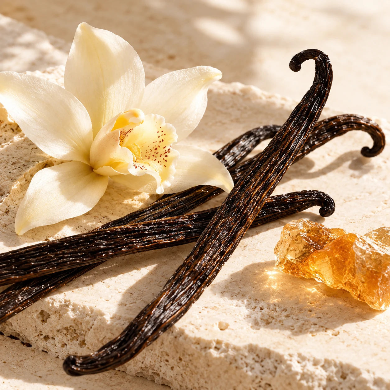 Vanilla and orchid on pale stone